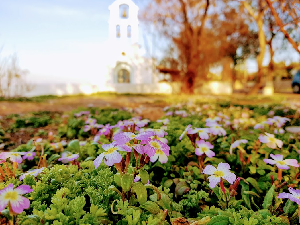Με φόντο το εκκλησάκι των Αγίων Αναργύρων.