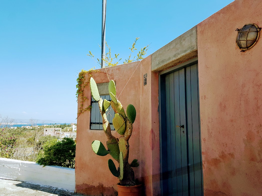 Η όμορφη Κυψέλη πάντα κρύβει εκπλήξεις.