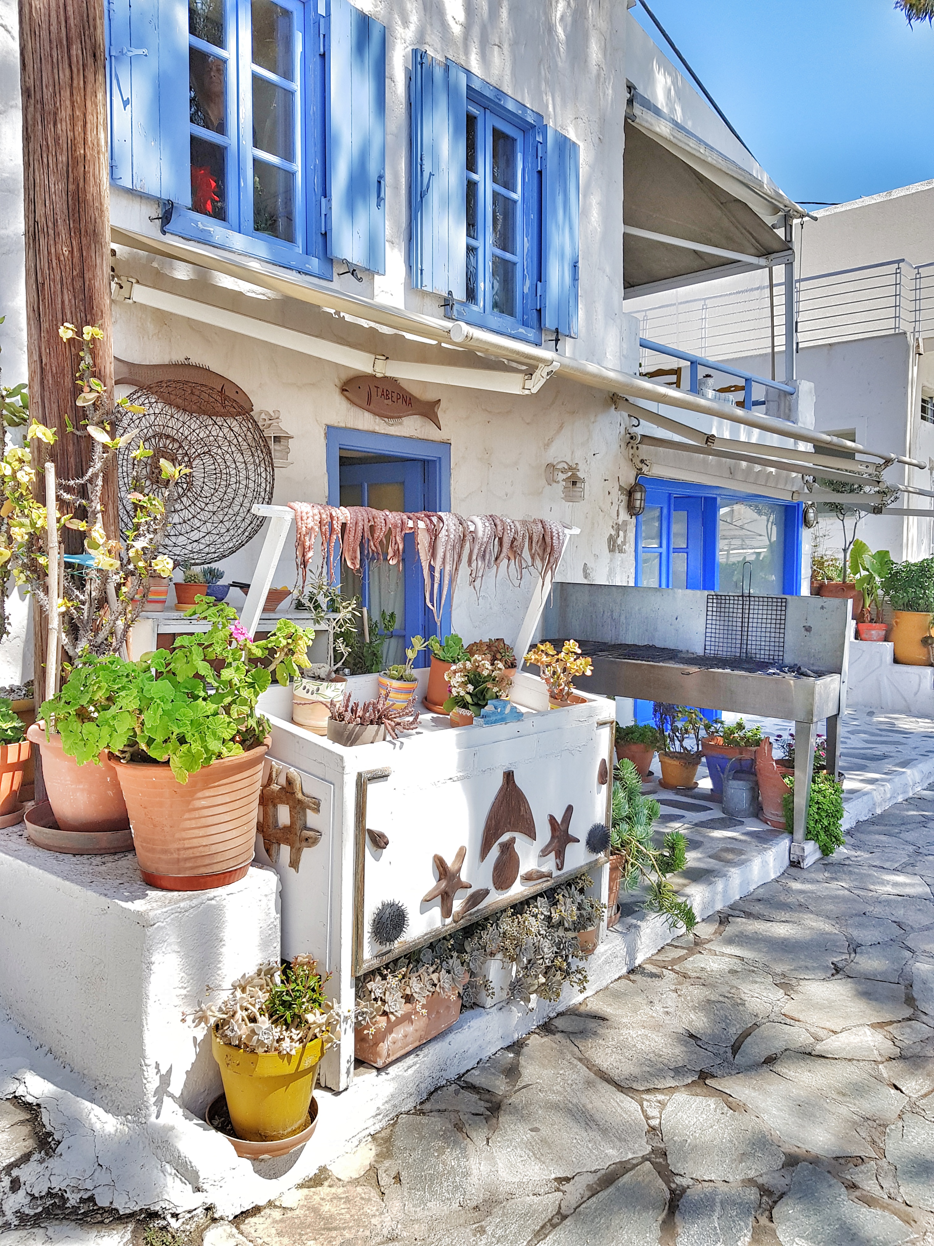 Για χταποδάκι και ουζάκι στην Πέρδικα.